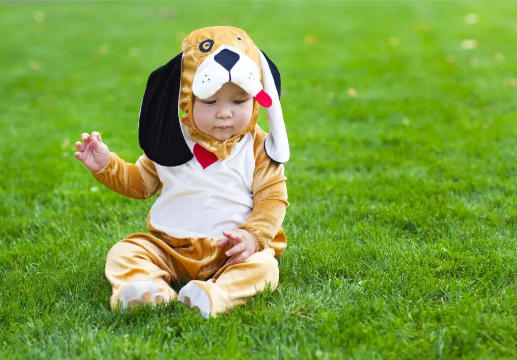 baby wearing puppy costume, sitting on grass. Animal Costume