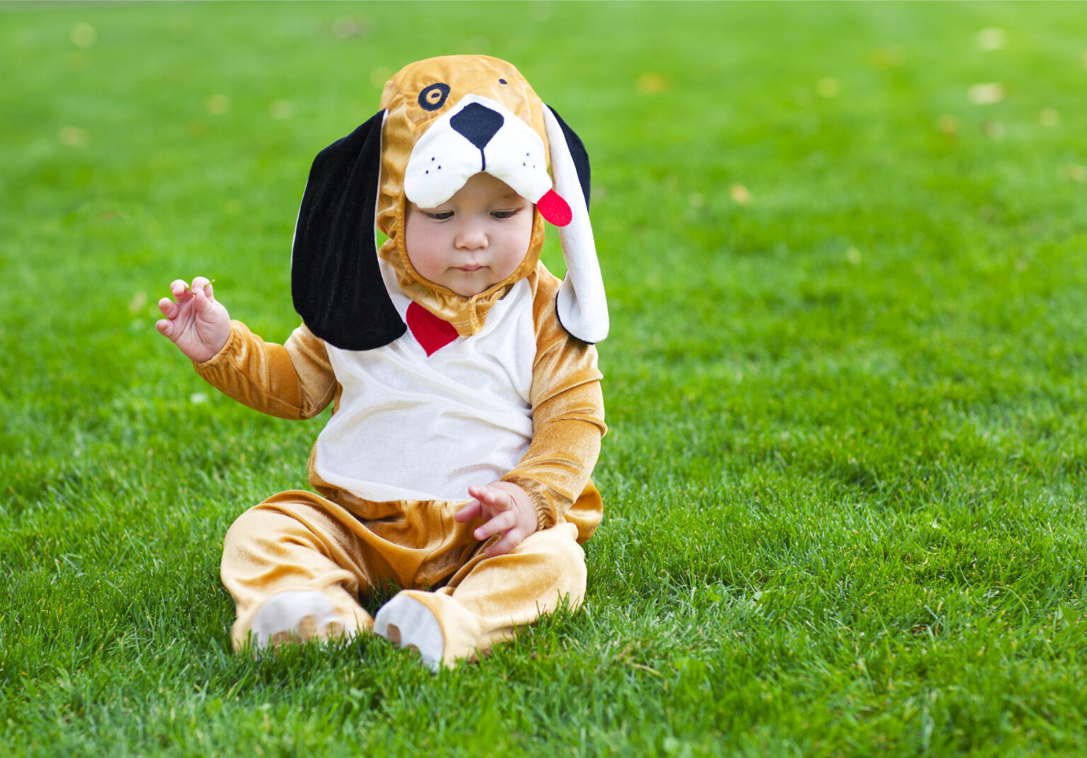 How to Make a Children's Animal Costume Start Sewing